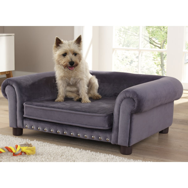 Texstar Kahu Dog Sofa Reviews Wayfair Co Uk