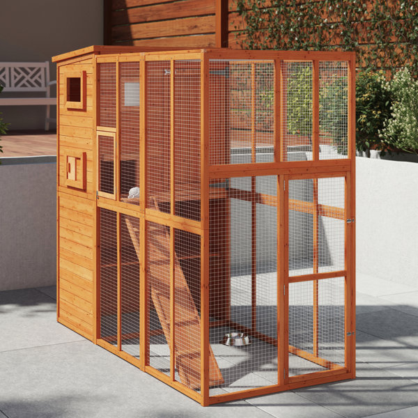Tall cat cage clearance