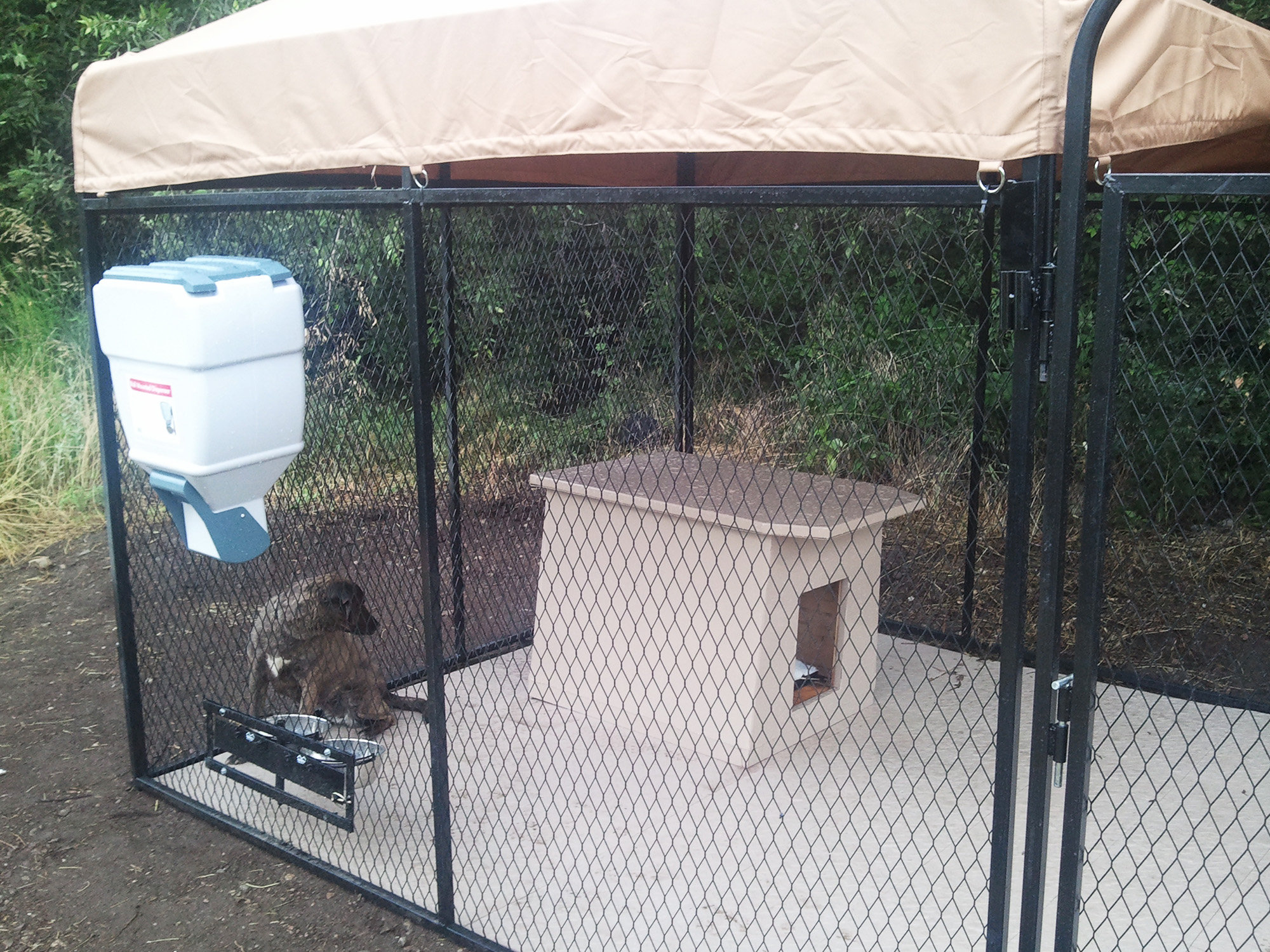 K9 Kennel Basic Yard Kennel Tile Flooring System Wayfair