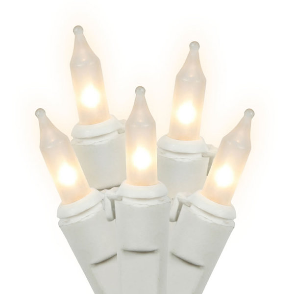 50 Lights Set by Vickerman
