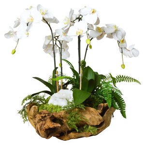 Orchid and White Geode in Wood Bowl