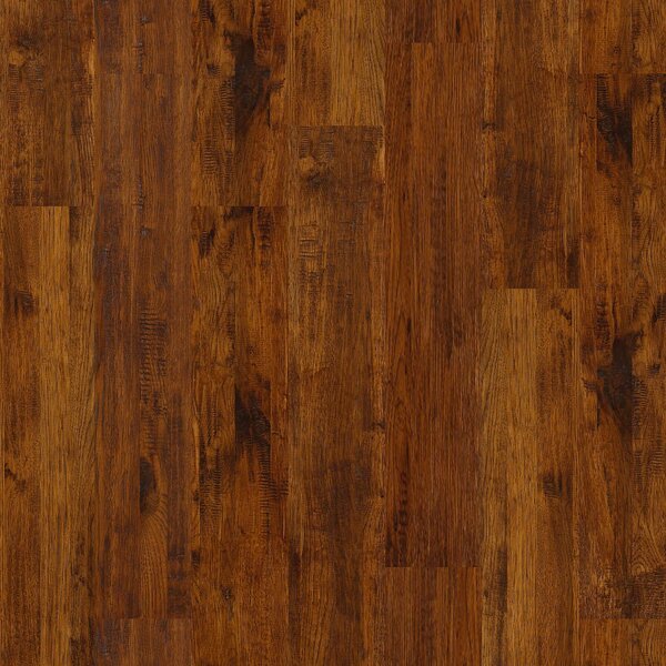 Gilbert 8 Solid Hickory Hardwood Flooring in Amory by Shaw Floors