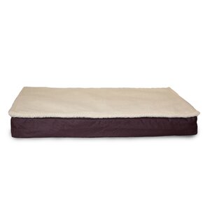 Deluxe Outdoor Memory Foam Dog Bed with Removable Cover