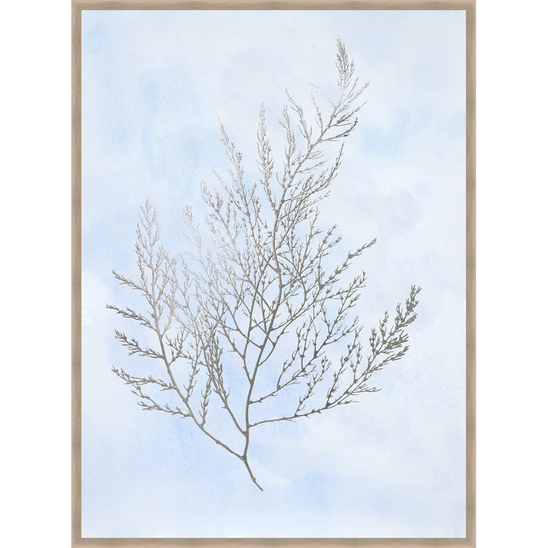 Ashton Wall Decor Llc Silver Foil Algae Ii Framed Graphic Art
