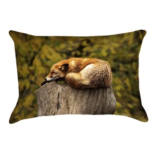 Sleeping Fox Pillow Cover