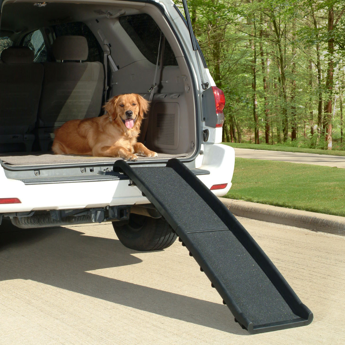 Dog Ramp For Car >> Petsafe Ultralite Bi Fold 62 Pet Ramp Reviews Wayfair Dog Ramp For Car >> Petsafe Ultralite Bi Fold 62 Pet Ramp Reviews Wayfair