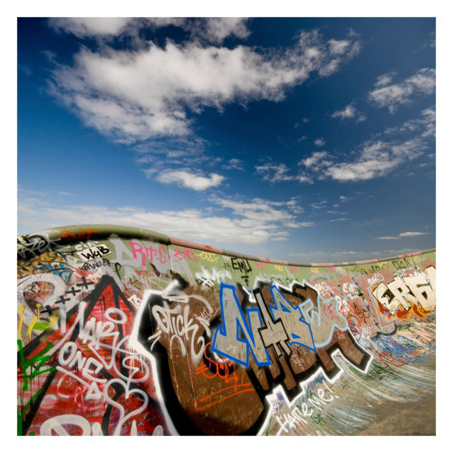 Paradise for Skaters 2.88m x 2.88m Textured Matte Peel & Stick Wall Mural East Urban Home