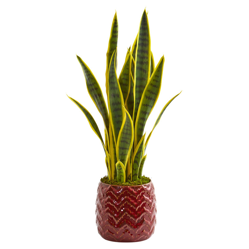 Wrought Studio 17" Artificial Snake Plant in Planter Wayfair