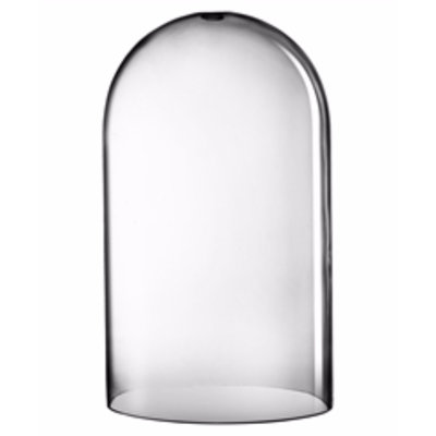 Charlton Home Charlton Home Riedel Glass Cloche Dome Terrarium Cg197072 From Wayfair Shefinds