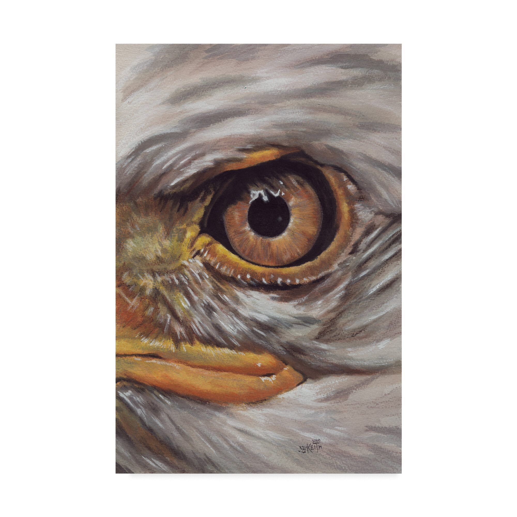 Нарисовать глаз орла