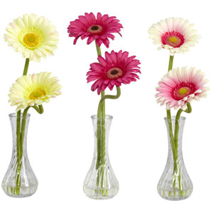 Gerber Daisy with Bud Vase (Set of 3)