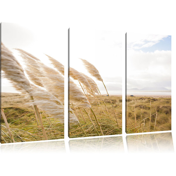 Pixxprint 3-tlg. Leinwandbilder-Set „Schönes Schilf in den ...