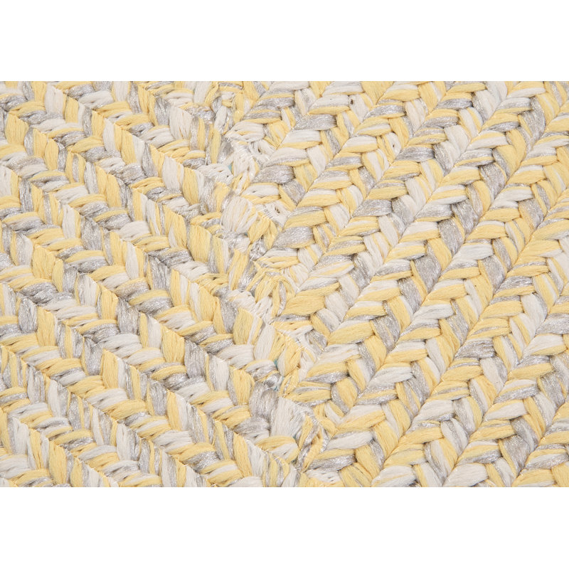 Winston Porter Hawkins Braided Indoor Outdoor Area Rug Reviews Winston Porter Hawkins Braided Indoor
