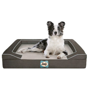 max studio pet bed