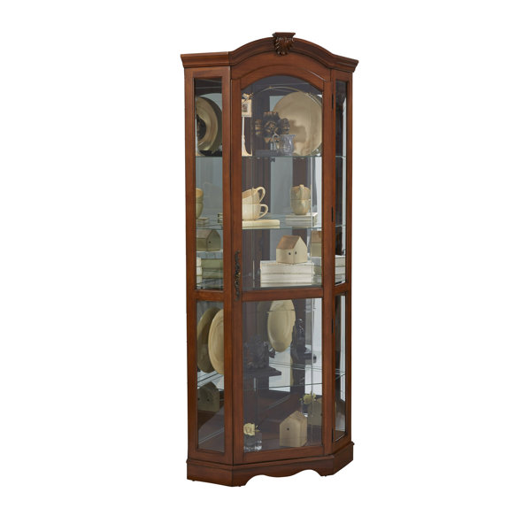 Purvoche Lighted Corner Curio Cabinet By Darby Home Co Reviews