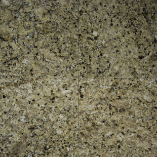 New Venetian Gold Wayfair New Venetian Gold Wayfair