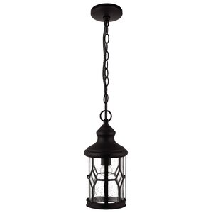 Stockton 1-Light Outdoor Pendant