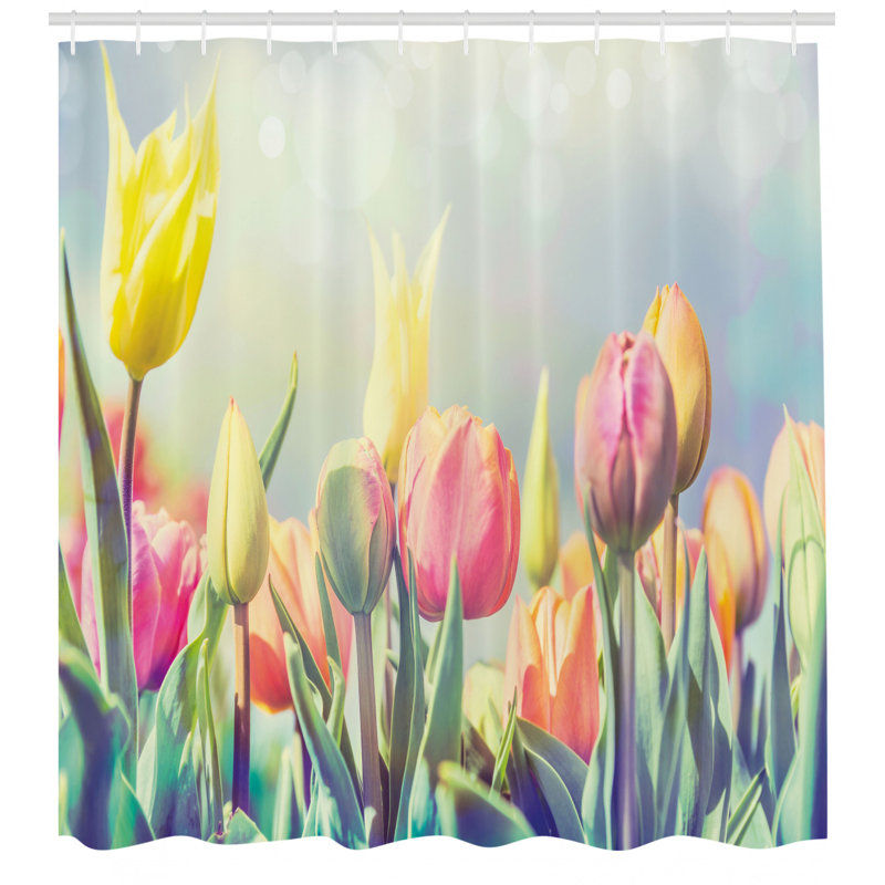 East Urban Home Pastel Shower Curtain Set Hooks Wayfair East Urban Home Pastel Shower Curtain