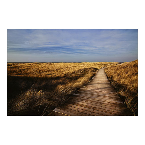 Dune Path on Sylt 2.55m x 3.84m Textured Matte Peel & Stick Wall Mural East Urban Home