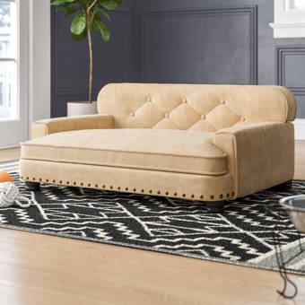 Constance Dog Sofa Reviews Joss Main