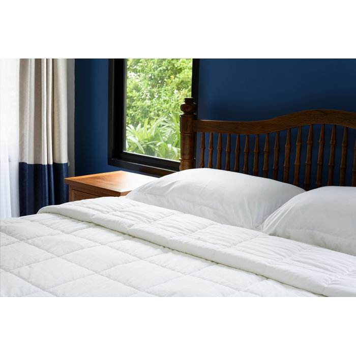 Alwyn Home Luxury Soft Oversized Lightweight All Season Down
