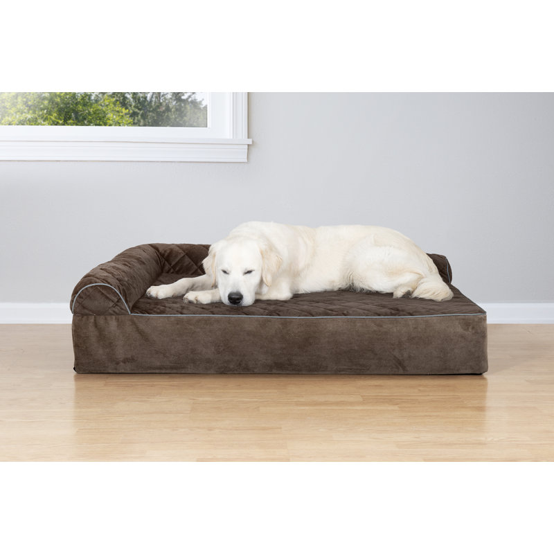 dog beds on sale for large dogs