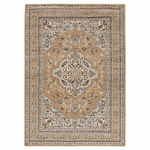 Market Ivory Area Rug