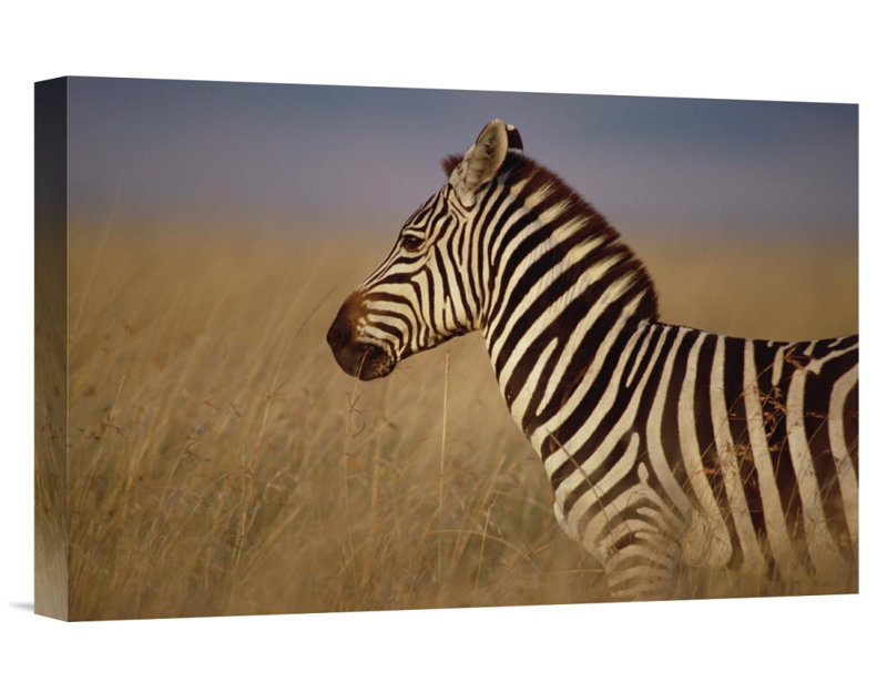 Masai Mara Game Reserve at Sunset Kenya Safari Giclee Canvas Picture Wall Art