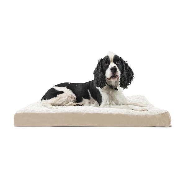 Ernie Ultra Plush Deluxe Ortho Pet Bed by Archie & Oscar