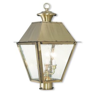 Cynda Outdoor 3-Light Lantern Head