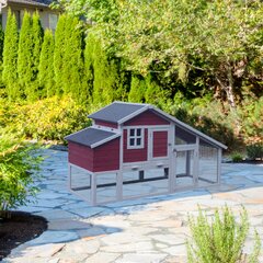 Old Red Barn Chicken Coop Wayfair Ca