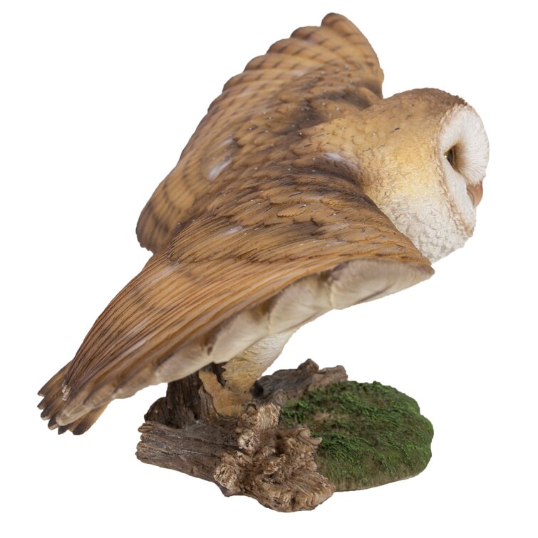Birds II T-Shirts 3dRose Lens Art by Florene Image of Barn Owl in Flight 