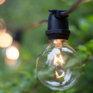 75-Light Globe String Lights