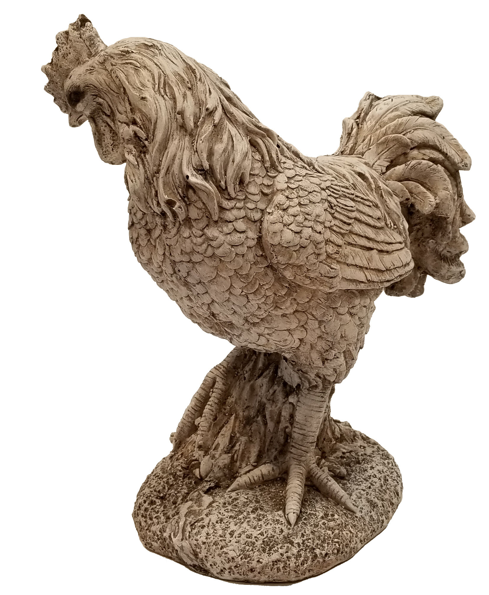 August Grove Tony Magnesium Rooster Garden Statue Wayfair