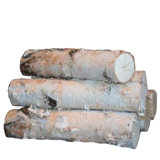 Decorative Birch Wood Logs Wayfair