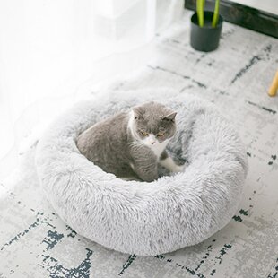 Cat Beds You'll Love in 2021