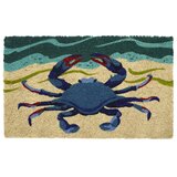 Farmhouse Rustic Nautical Door Mats Birch Lane