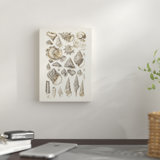 Framed Coastal Prints Wayfair