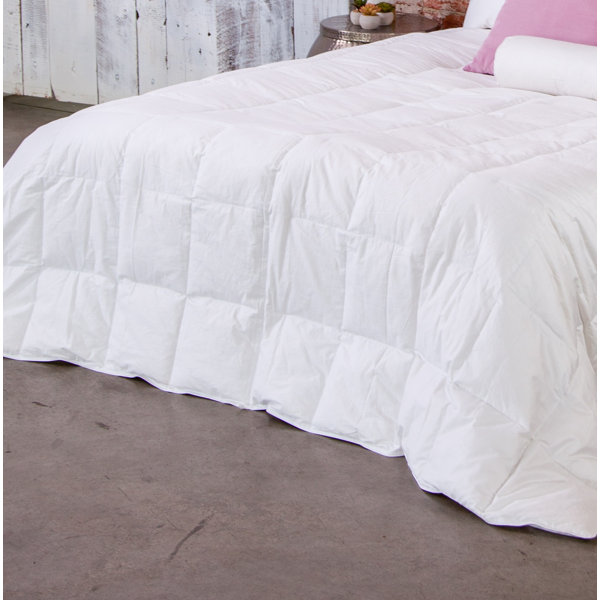 Extra Light Down Comforter Wayfair