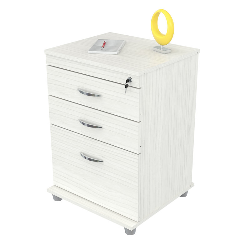 Winston Porter Galgano Locking 3 Drawer Mobile Vertical Filing