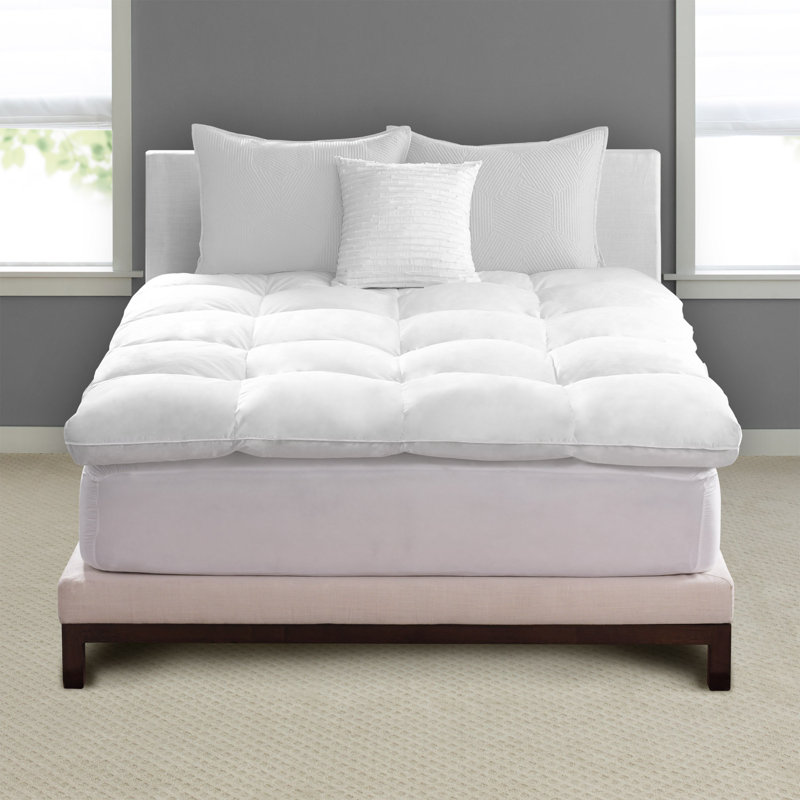 Pacific Coast Feather Deluxe Baffle Box Cotton And Feathers Mattress Topper Reviews Wayfair