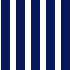 Primary Stripe Woven Fabric By The Yard