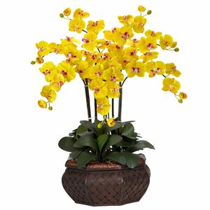 Large Phalaenopsis Silk Flower Arrangement in Yellow