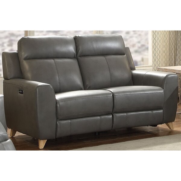Review Guillermo Reclining Loveseat