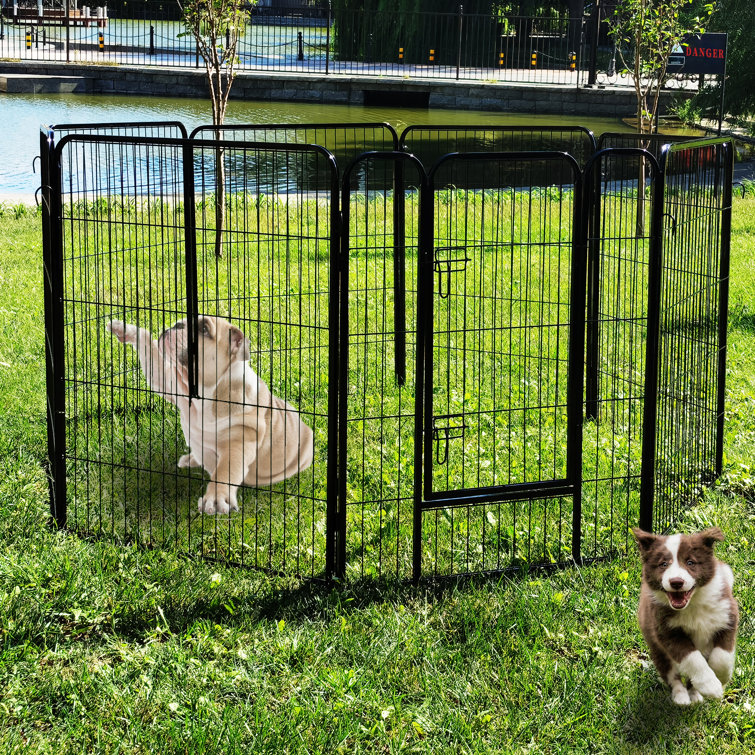 wayfair pet fence