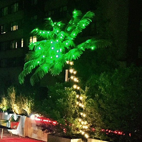 Pre-Lit LED 56 Light Palm Tree by Lightshare