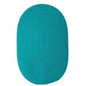 Mcintyre Turquoise Outdoor Area Rug