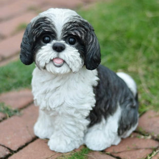 Ebros Large Adorable Shih Tzu Dog Resin Statue Realistic Shih Tzu 10.25/"H