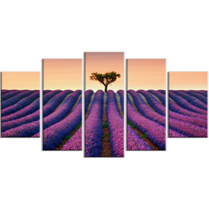 Lavender Wall Art framed lavender wall art | wayfair Lavender Wall Art framed lavender wall art | wayfair
