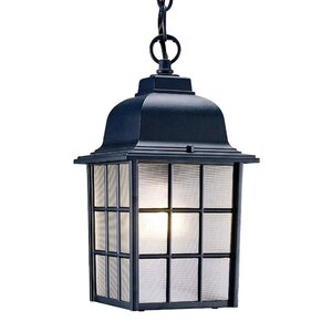 Belfield 1-Light Outdoor Hanging Lantern